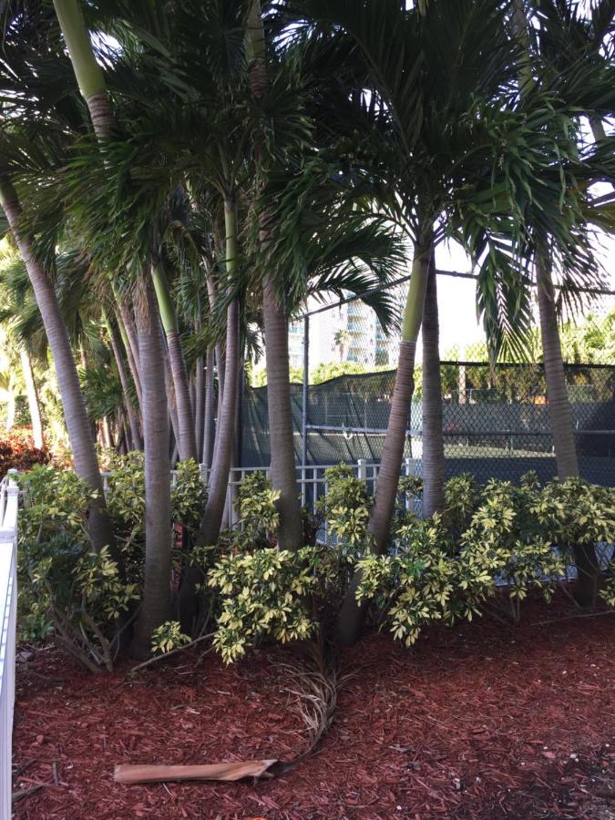 Апартаменты Disfruta Sunny Isles Ocean 1206 Str-02816 Майами-Бич Экстерьер фото